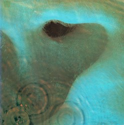 Meddle