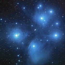 M45