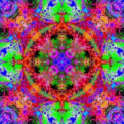 For the Mind That Binds