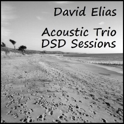 Acoustic Trio - DSD Sessions