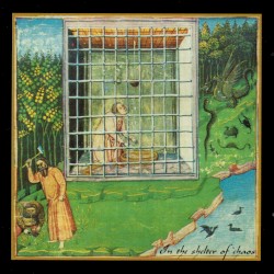 In the Shelter of Chaos