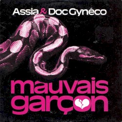 Mauvais garçon