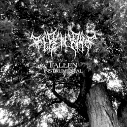 Fallen (Instrumental)