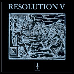 Resolution V