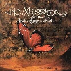 Butterfly On A Wheel