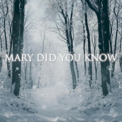 Mary Did You Know