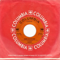 Indian Reservation / Terry's Tune