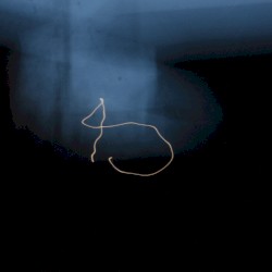 Ἶ