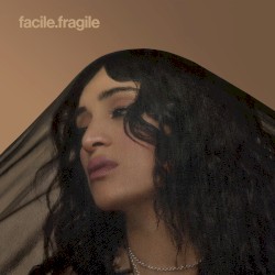 facile x fragile