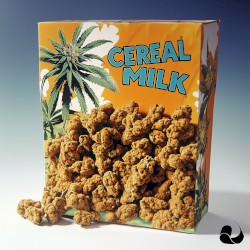 Cereal Milk
