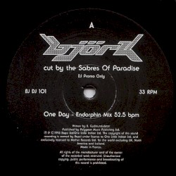 Björk Cut by the Sabres of Paradise