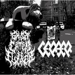 Descent Into Nothing