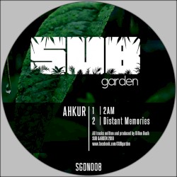 2AM / Distant Memories