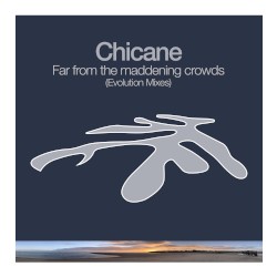 Far From the Maddening Crowds (Evolution Mixes)