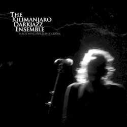 Black Wing Butterfly / Goya