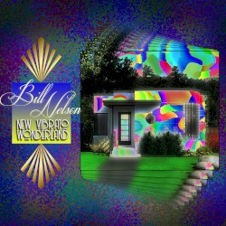 New Vibrato Wonderland