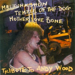 Tribute to Andy Wood