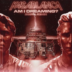 Am I Dreaming? (Øostil remix)