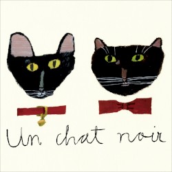 Un chat noir