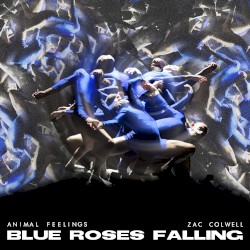 Blue Roses Falling