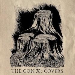 Tegan and Sara Present The Con X: Covers