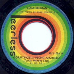 Gorrioncillo pecho amarillo / Golondrina presumida