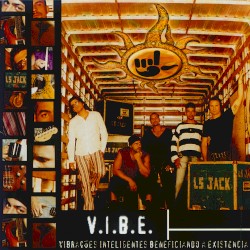 V.I.B.E.