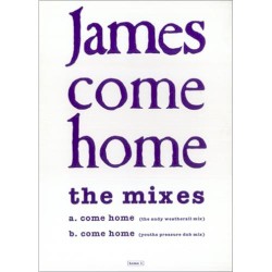 Come Home (The Mixes)