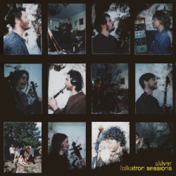 Folkatron Sessions 2: Skiver