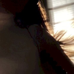 United in Flames 11th August 2021