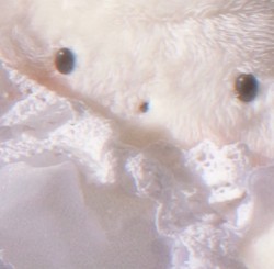 あたたか♡ゆ〜とぴあ