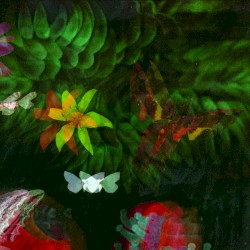 Cloud Cock OO Grand (another mix)