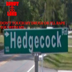 Don't Touch My Drugs or I'll Rape You With My Hedgecock