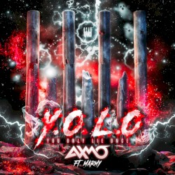 Y.O.L.O (You Only Lie Once)