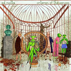 Criterion Of The Senses
