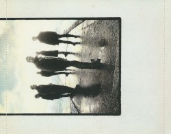 Live at the Botanique