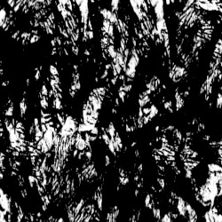 Grisaillement IX
