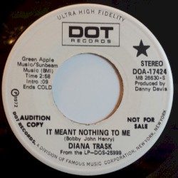 It Meant Nothing to Me