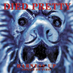 Harness Up (Soul's On Fire)