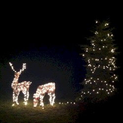 A Sirun Baron Christmas