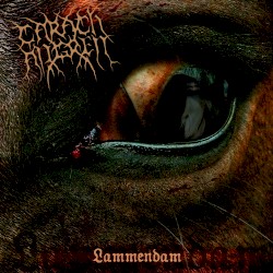 Lammendam
