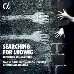 Searching for Ludwig