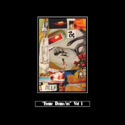 Home Demo/ns, vol. I