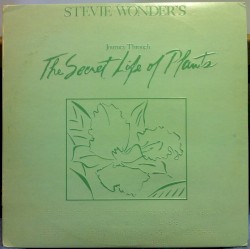 Stevie Wonder’s Journey Through the Secret Life of Plants