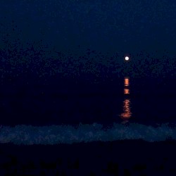 Tired of Feeling Sick