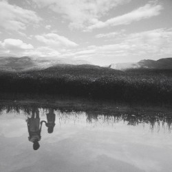 Campeones del Mundo / Rayo de Luz