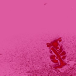 Recorded 2008 Memorys