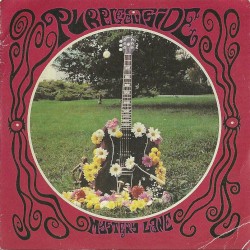 The Purple Outside (Mystery Lane)