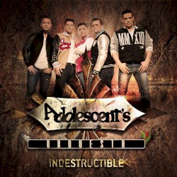 Indestructible