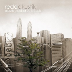 Plastik Çiçekler ve Böcek